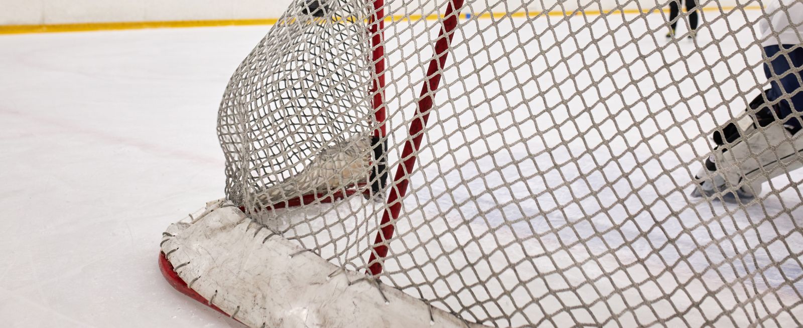 Hockey Net Banner Image