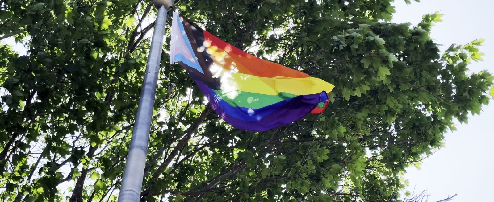 Pride Flag Banner Image