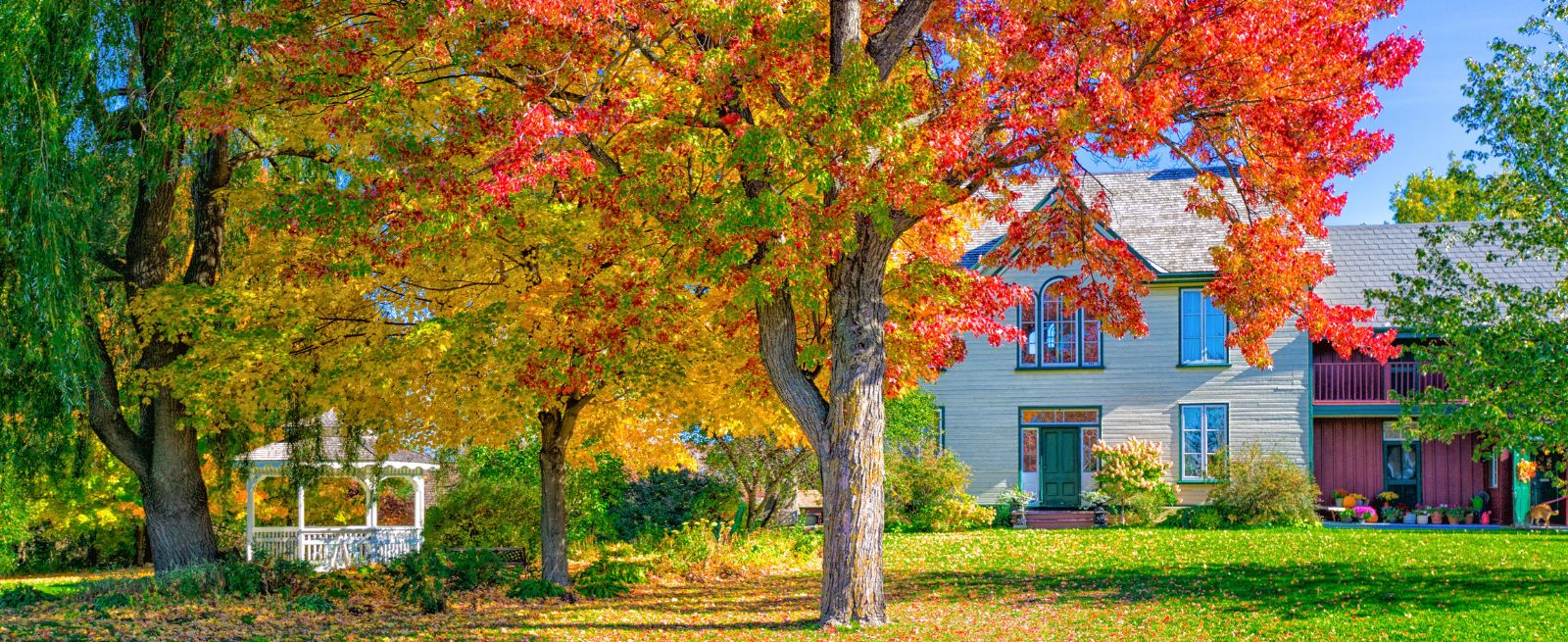 Heritage House Museum Banner Image